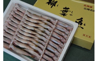 宿院の夫婦ししゃもオス20・メス20(30G-Ⅰ1)