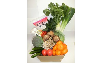 A-105 杵築で収穫された季節の野菜・果物・お米・玉子の詰合わせセット