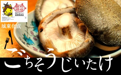 サンプル写真