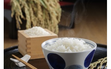 志賀米こしひかり(5kg)