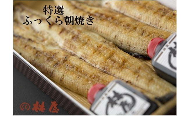 ＡＢ－１　【定期便・年６回】特選ふっくら朝焼きうなぎ　林屋（白焼き大２尾） 偶数月発送