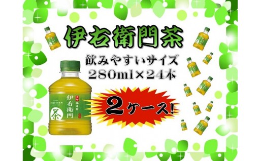 B598 伊右衛門 280ml×24本×2ケース