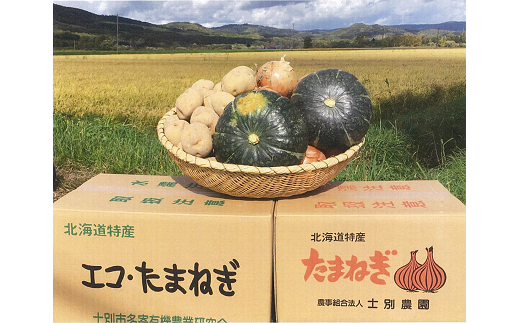 予約受付 野菜詰め合わせ じゃがいも4kg玉ねぎ4kgかぼちゃ1玉 北海道士別市 ふるさと納税 ふるさとチョイス