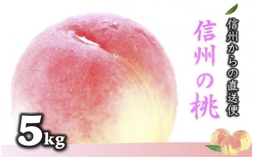 B642 信州の桃 約5kg(12~18玉)