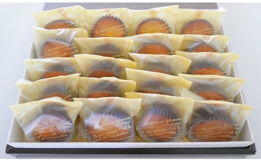 B226 seedパウンドケーキアソート 20個セット