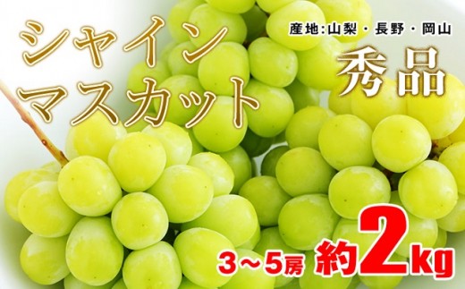 B364 シャインマスカット 秀品 約2kg