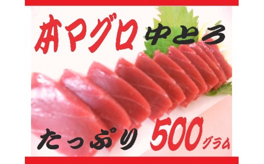 B202 本マグロ(中トロ) 500g