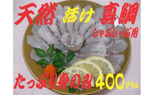 B659 泉佐野漁港直送 天然真鯛!しゃぶしゃぶ用