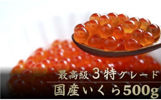 B119 国産味付いくら500g
