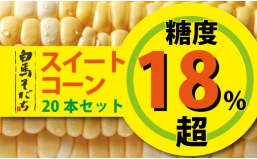 高糖度 しろうまコーン　予約ページ 2026年7月発送分先行予約】白馬そだち 糖度18%超 スイートコーン20本