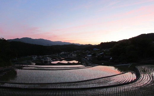 【日本棚田百選:松阪市飯南町深野夏明地区棚田】