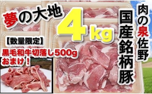 B679 【国産銘柄豚】夢の大地4㎏(黒毛和牛切落し500gおまけ付)