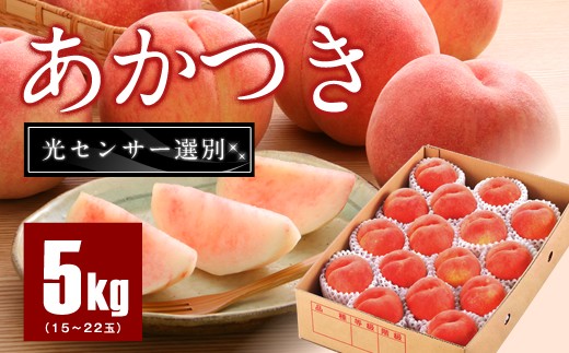B295 もも「あかつき」約5kg