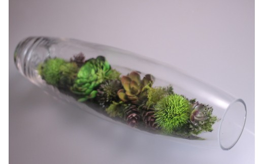 【空気をキレイにする】ガラスの中の植物 アートフラワー インテリア(小)