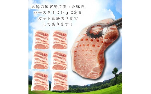 E093 Sn 贅沢宮崎県産豚肉ロース100gカット30枚 2020年4月末迄に