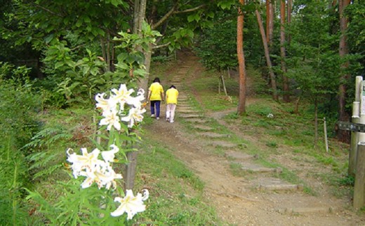 5666 0128 フォレストイン益子宿泊券 栃木県益子町 ふるさと納税 ふるさとチョイス