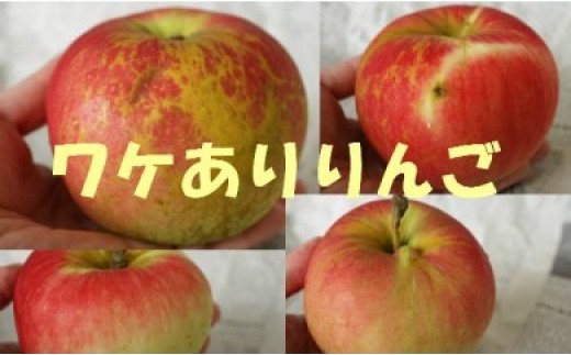 【訳あり/北上産】りんご 約5kgセット