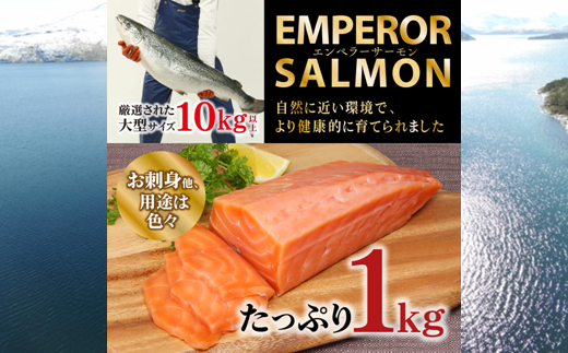 エンペラーサーモン【1kg】のサムネイル