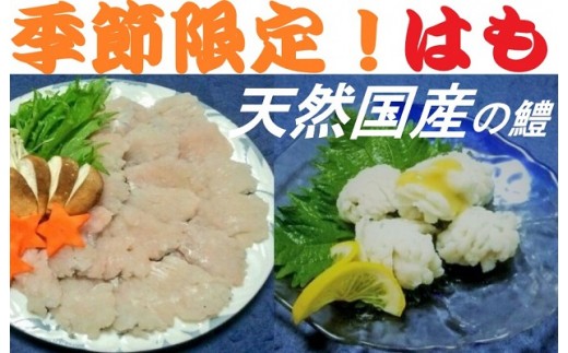 B688 泉佐野漁港直送 国産はも 300g