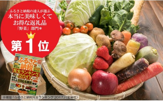 【12ヶ月定期便】たっぷり野菜セット〜いっぺ北上の野菜くってけでぇ〜