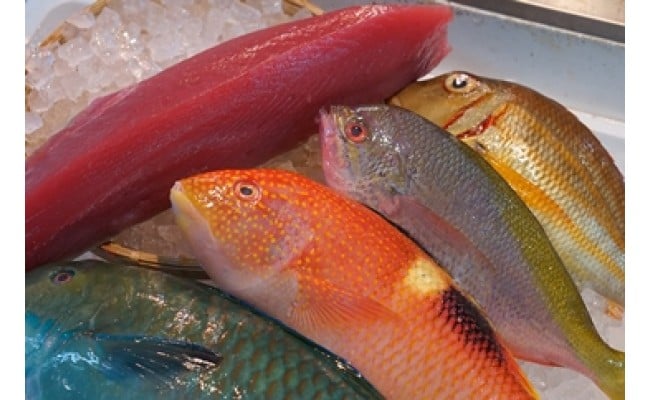 【泊漁港直送】 沖縄美ら海まぐろと旬の沖縄鮮魚セットのサムネイル