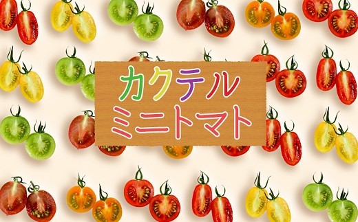 【熊本県南関町】Y01-1 産地直送 カクテル ミニトマト 3ｋｇ
