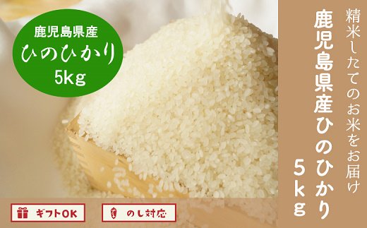 013-08 精米したてをお届け!南九州市産ひのひかり5kg - 鹿児島県南九州