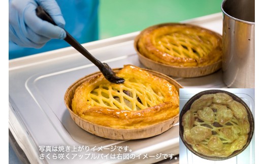 アップルパイ 特選6号(18cm)(便利な冷凍)P-2