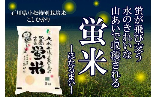 特別栽培米コシヒカリ 蛍米精米5kg 石川県小松市 ふるさと納税 ふるさとチョイス