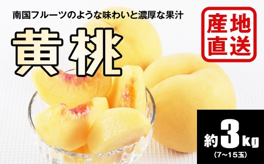 H236 【秀品】黄桃 約3kg