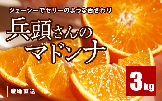 B711 産地直送 兵頭さんのマドンナ約3kg