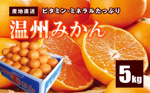 A320 産地直送「温州みかん」約5kg