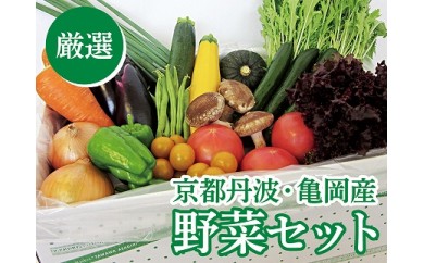 京都丹波・亀岡産野菜セット