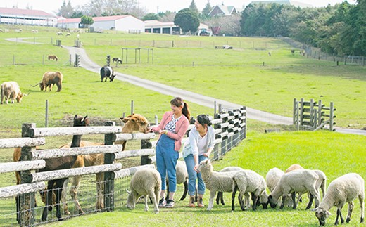 マザー牧場 入場券 ソフトクリーム引換券 ペア 千葉県富津市 ふるさと納税 ふるさとチョイス