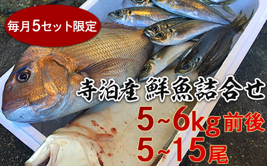 59-02新潟県寺泊産【鮮魚5～6kg】詰合せ