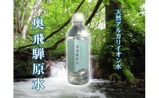 【岐阜県飛騨市】奥飛騨原水500ml×24本