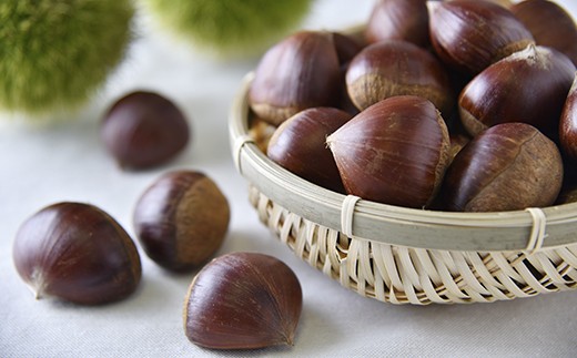 球磨栗（鬼皮付き） 約2kg 【2025年9月下旬～10月下旬発送予定】栗