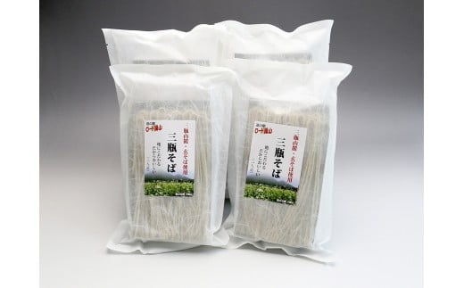 ロード銀山特製三瓶そばセット【そば 蕎麦 三瓶そば 細麺 詰め合わせ