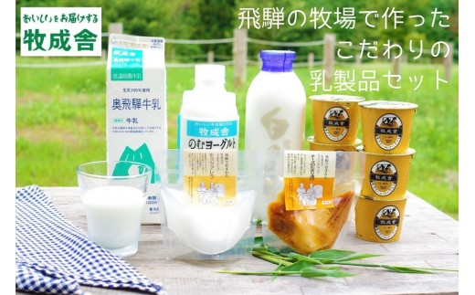 ＜牧成舎＞牛乳・ヨーグルト・チーズ　飛騨産生乳で作るこだわりのセット[B0096]