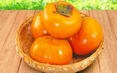 y쌧쒬z[5911-0105]I ܊|xL` ʕ