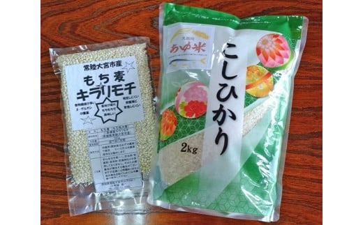 No.117 常陸大宮市産のもち麦とお米セットA ／ 大麦 雑穀 白米 コシヒカリ 食物繊維 健康 茨城県