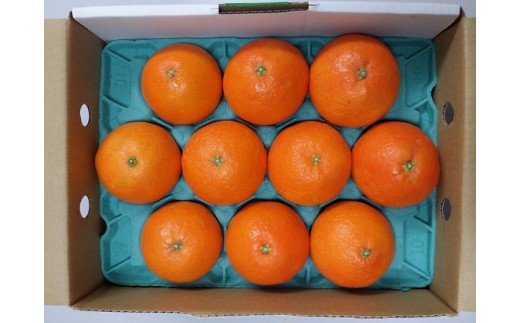 B05 紅まどんな(1.7kg)