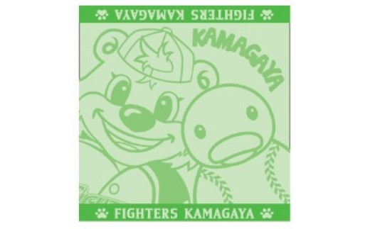 イオン銀行 ふるさと納税特設サイト Powered By ふるさとチョイス