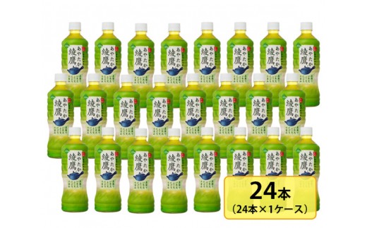 サンプル写真
