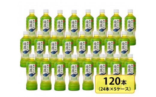 綾鷹525mlペットボトル×24本セット×5箱 【11100-0051】 - 埼玉県