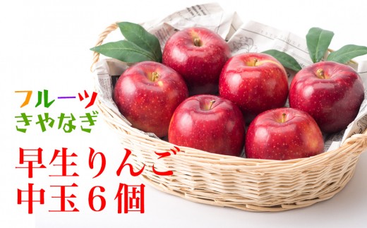 北上産 果汁たっぷり 早生りんご 中玉6個
