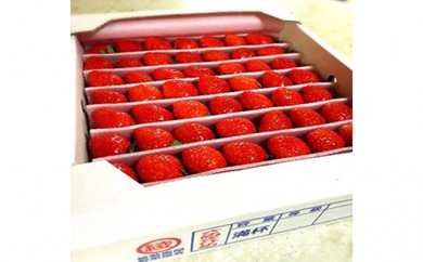 y쌧쒬z[5911-0110]y1`zʂЂ䕁@t1kg ʕ  C`S