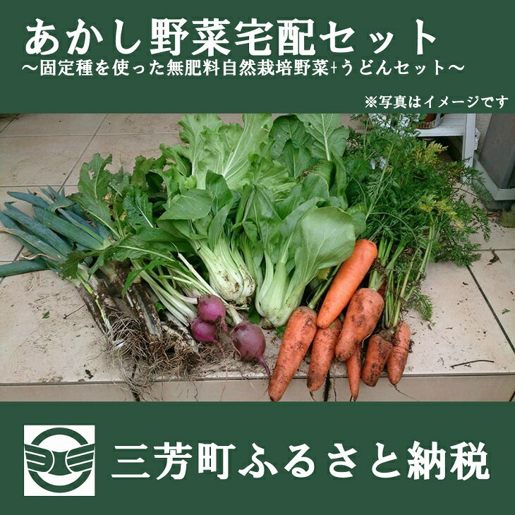 埼玉県　ふるさと納税　深谷市　澁澤さんちの野菜セットB　通販