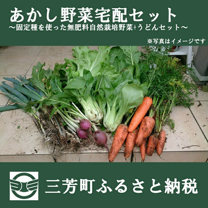 あかし野菜宅配セット 固定種を使った無肥料自然栽培野菜セット 埼玉県三芳町 ふるさと納税 ふるさとチョイス