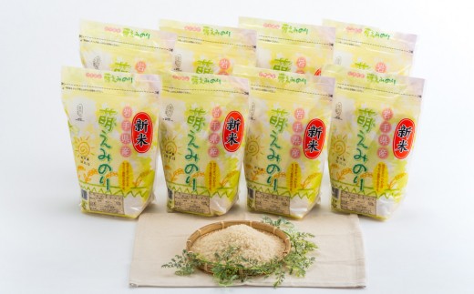 E0044 岩手県産 ブランド米 萌えみのり16㎏ 美味しいごはん
